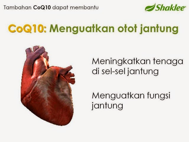Coenzyme q10 vitamin kesihatan jantung